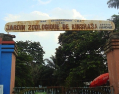 ZooKin.jpg