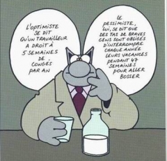 chat_geluck_vacances-1.jpg