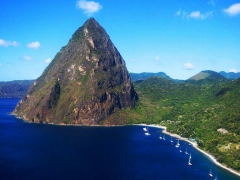 PetitPiton.jpg